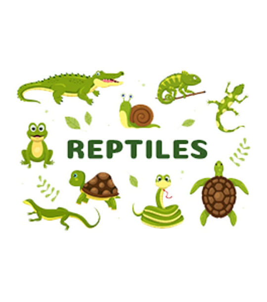 Reptile