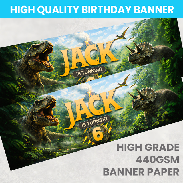 Dinosaurs T Rex & Triceratops