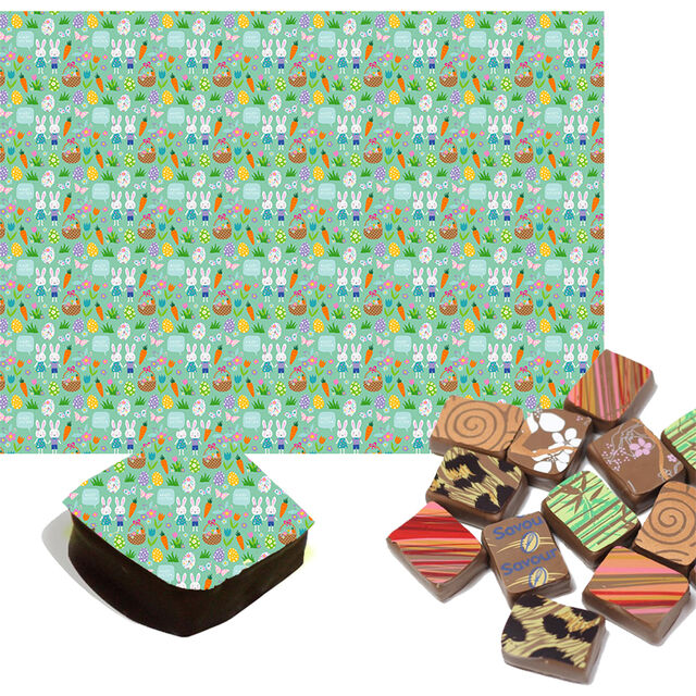 Easter Bunny & Carrot Chocolate Transfers