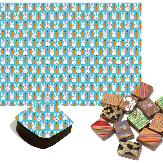 Easter Bunny & Carrot Chocolate Transfers
