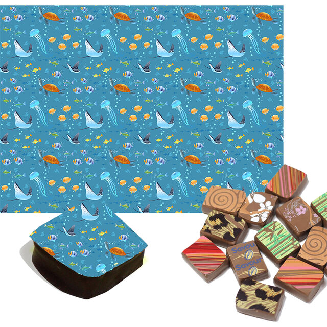 Fish & Turtles Chocolate Transfers